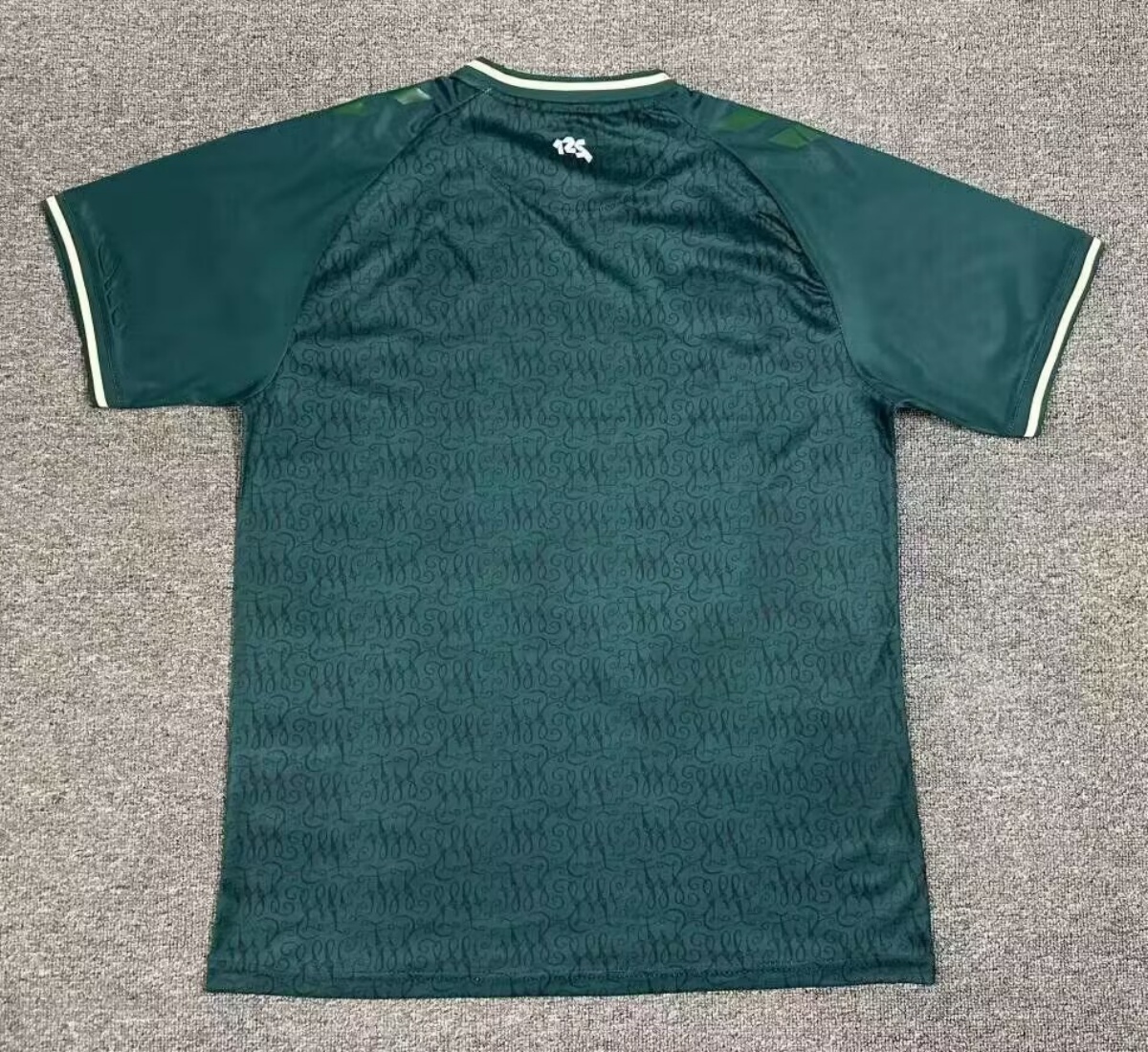 23/24 Werder Bremen Specail Jersey Fans Version yuebo - leoleo123123