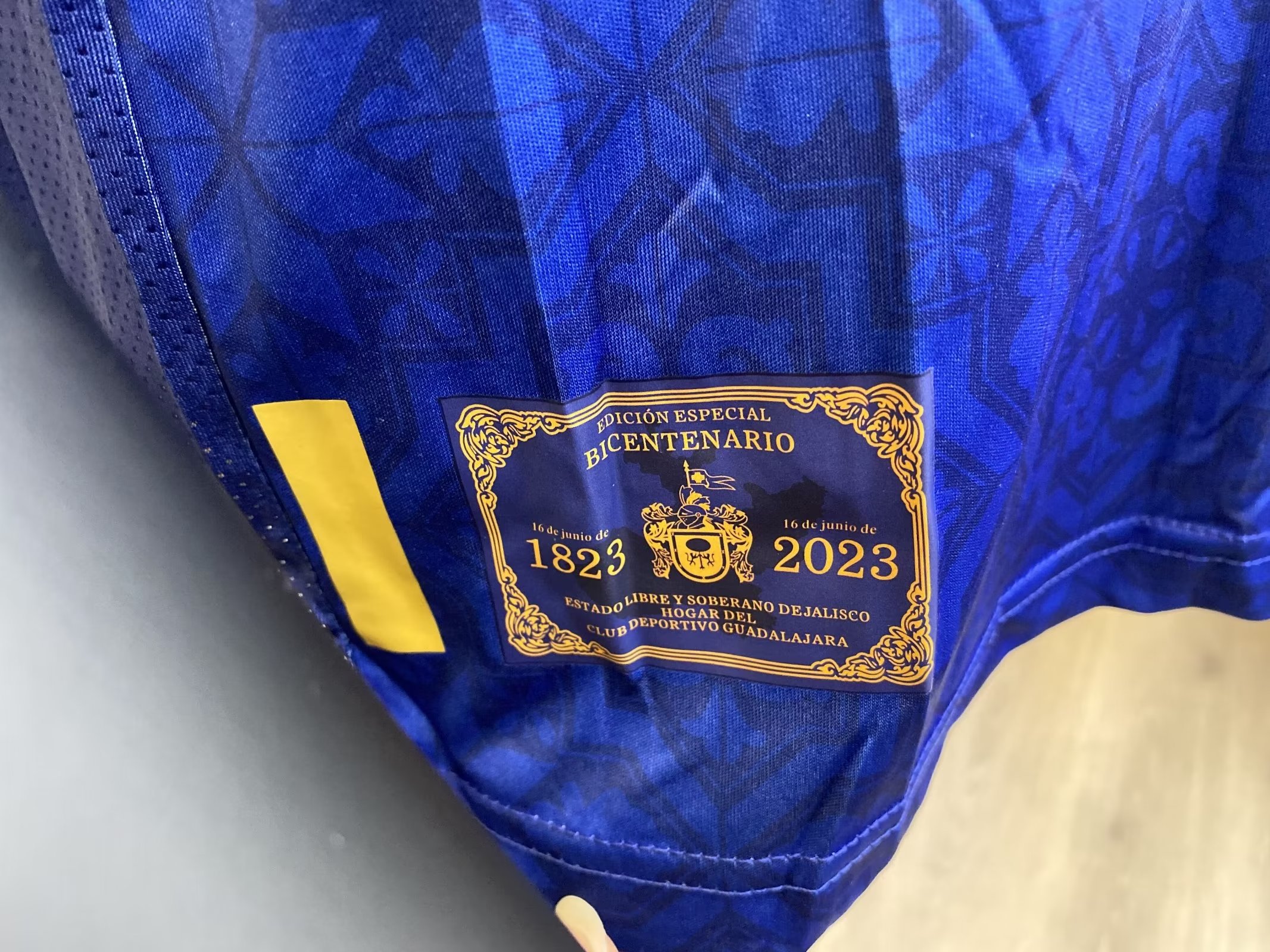 Chivas 200th anniversary Blue Jersey Player Version 1:1 Quality - leoleo123123