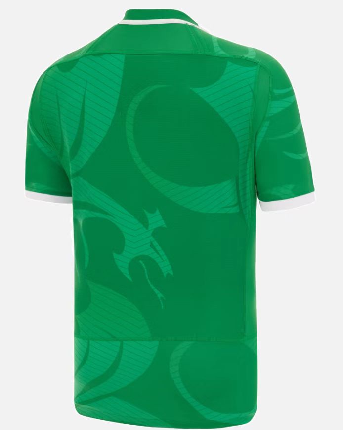 Rugby 2022-2023 Welsh Green Rugby Jersey High Quality - leoleo123123