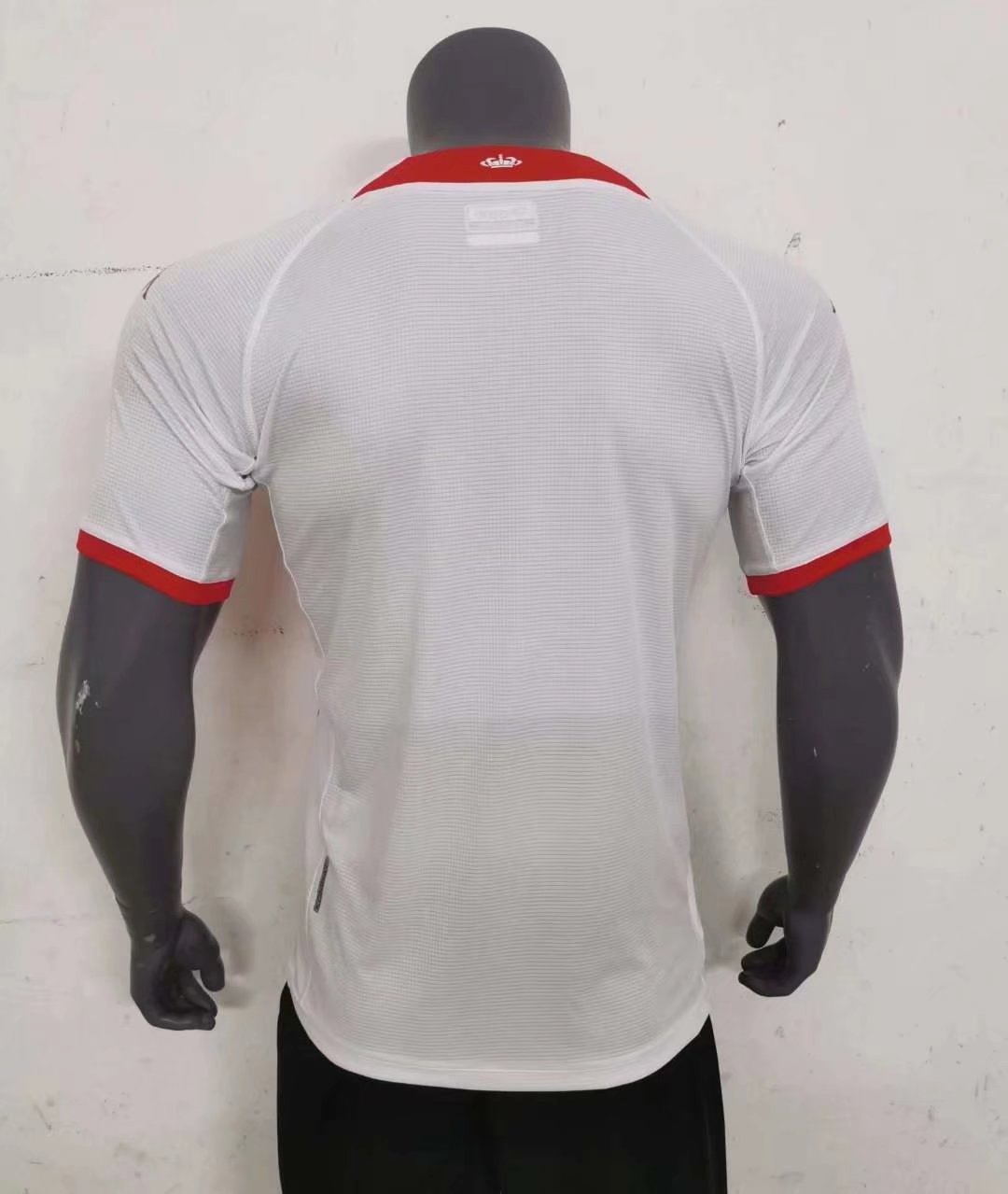 22/23 Monaco Home Jersey Fans Version Thai Qaulity C210 - leoleo123123