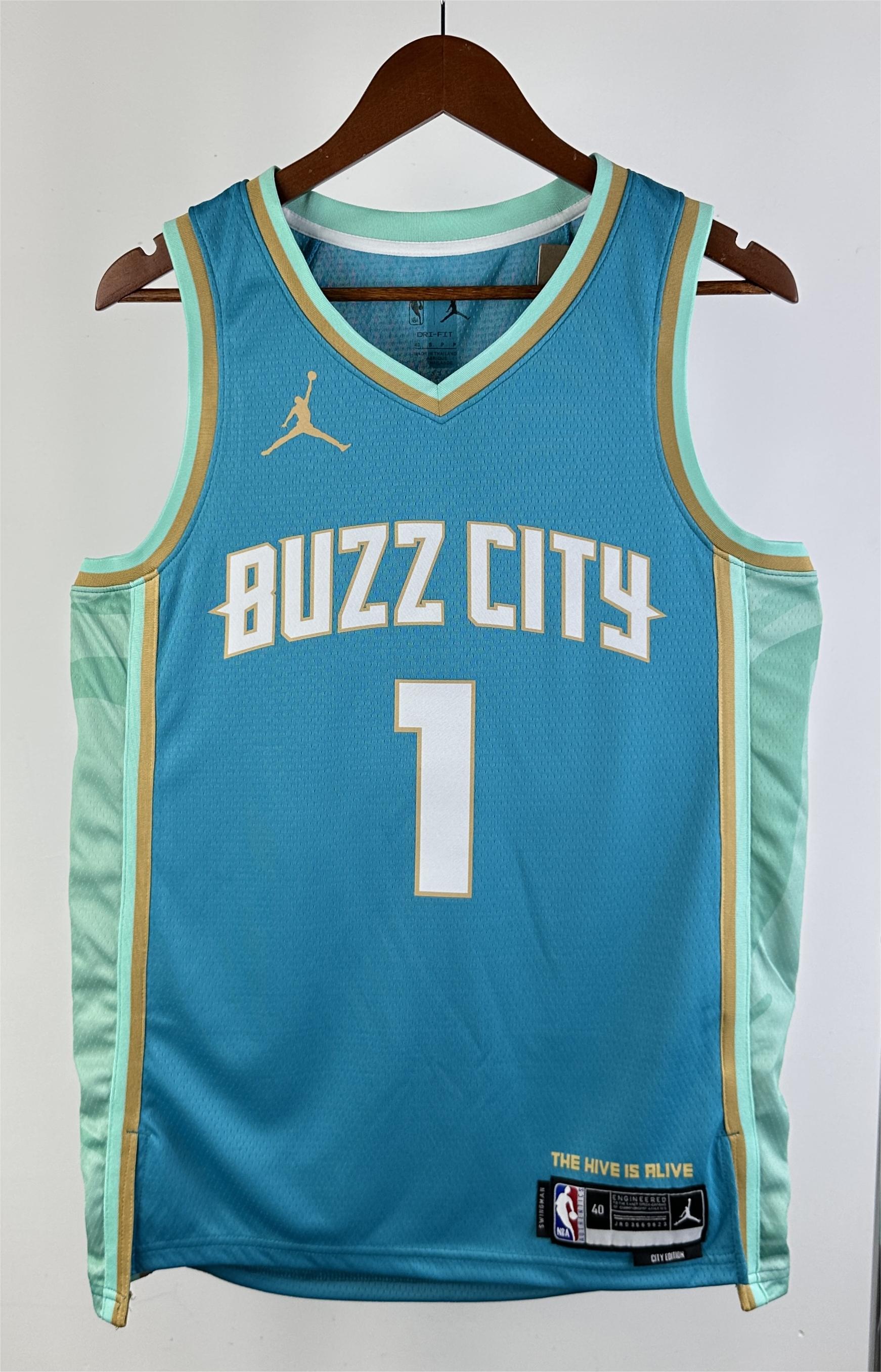 NBA Men 2023 Charlotte Hornets City Edition #1 BALL Jersey High Quality Name and Number Print - leoleo123123