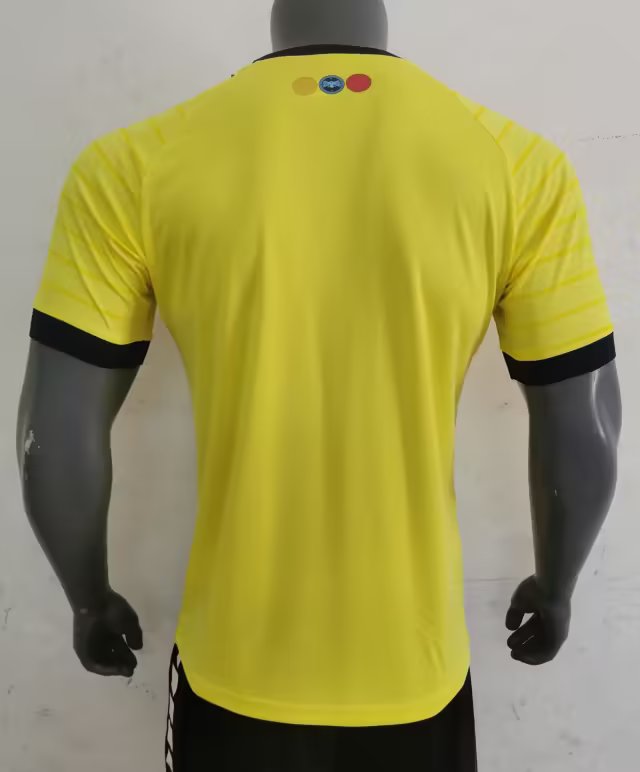 23/24 Ecuador Home Jersey Fans Version - leoleo123123