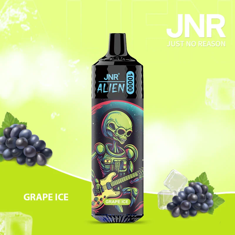 Grape Ice - Alien 10K Puffs Disposable Vape - leoleo123123