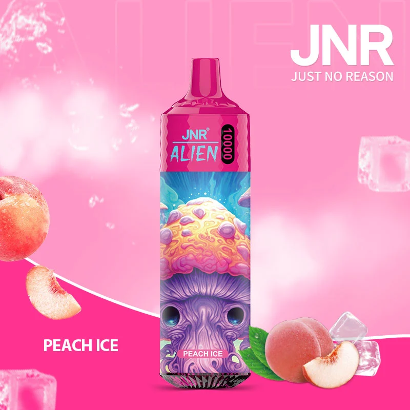 Peach Ice - Alien 10K Puffs Disposable Vape - leoleo123123